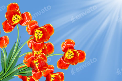 Preview: Spring Landscape. Flowers Tulips On A Background Of Blue Sky With Clouds.