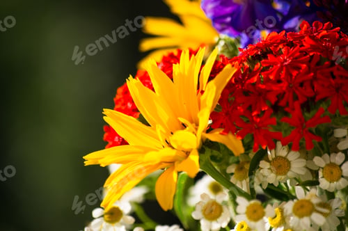 Preview: A Bouquet Of Bright Spring Flowers Of Various Types