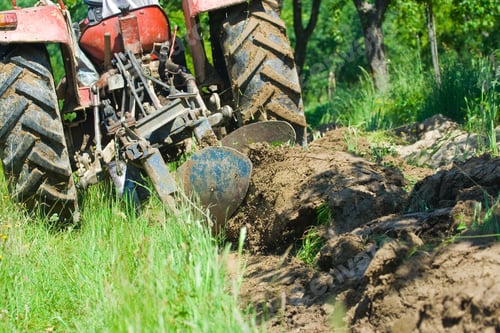 Preview: Old Farmer Plowing Between Trees In An Orchard