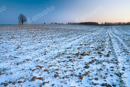 Preview: Winter Landscape With Field Of Snow At Sunset