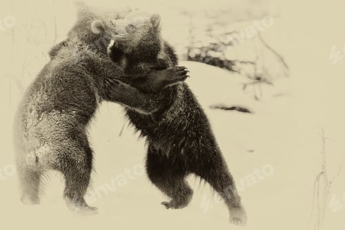 Preview: Brown Bears (Ursus Arctos) In Lake Clark National Park, Alaska, Usa, Vintage Style