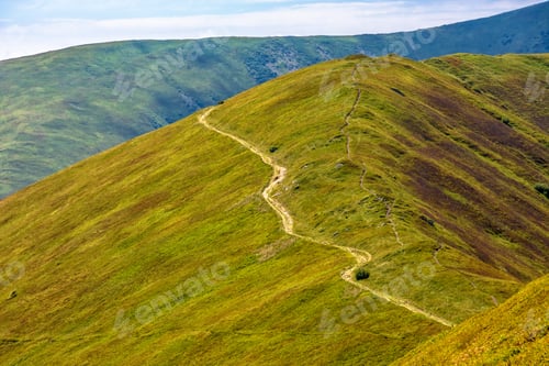 Preview: Winding Road Through Large Meadows On The Hillside Of Polonina Mountain Range