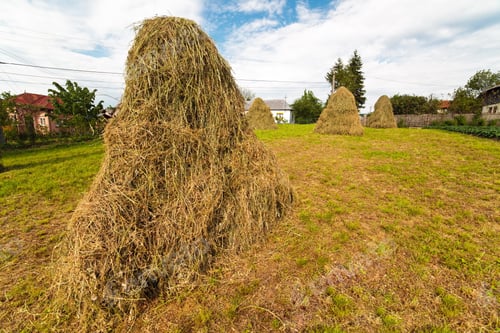 Preview: Landscape With Hay Stacks Under Blue Sky In The Countryside