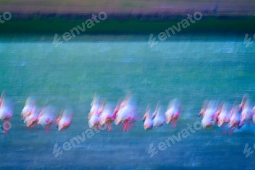 Preview: Abstract Nature. Motion Blur. Natural Background.