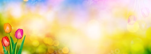 Preview: Bright And Colorful Flowers Tulips On The Background Of Spring Landscape.