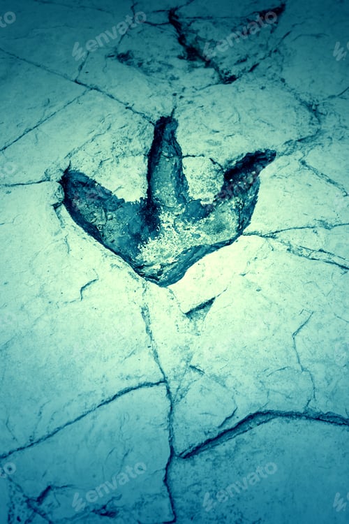 Preview: Ancient Dinosaur Footprint In Stone, Animals