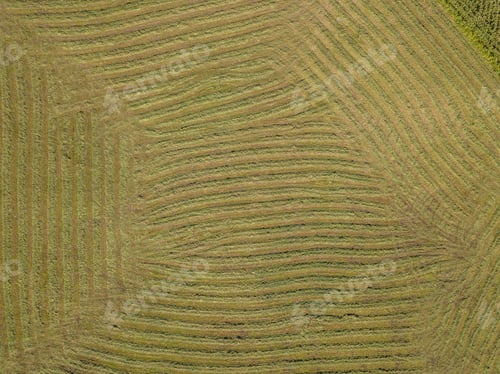 Preview: Aerial View Of Hay Grass Lying In Regular Pattern On Grass Meadow. Ready For Collection By Farmer.