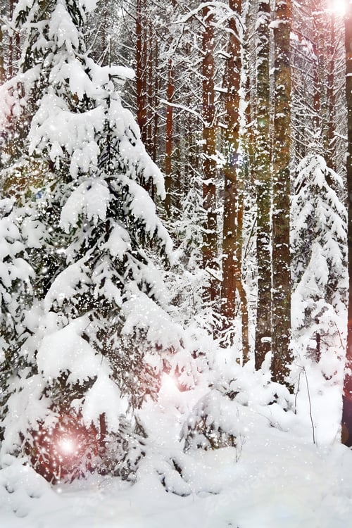 Visualização: Inverno. Queda de neve.
