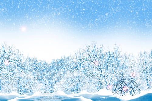 Preview: Frozen Winter Forest With Snow Covered Trees. Outdoor