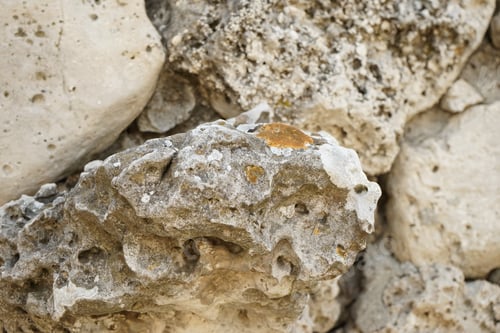 Preview: Pobiti Kamani (The Stone Desert), A Desert-Like Rock Phenomenon Located On The North West Varna