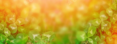 Preview: Green Clover Leaves On A Background Summer Landscape