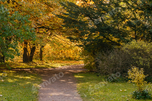 Preview: Scenic Scene In The Autumn Park. Yellow Foliage Of Trees In Autumn. Yellow And Red In The Garden.