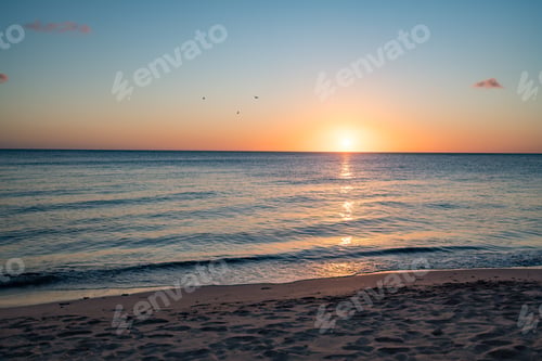 Preview: Driftwood And White Wine At Sunset On The Beach