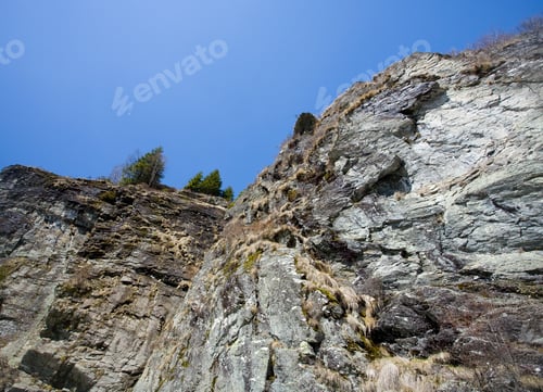 Preview: View Of A Cliff With Pines Growing Above, On Rocks