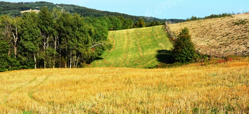Preview: Mountain Meadow In Autumn Landscape