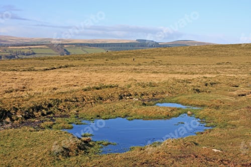Preview: Dartmoor, Devon
