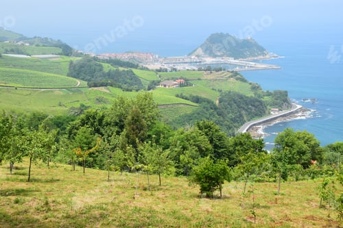 Preview: Coast At Getaria In The Basque Country