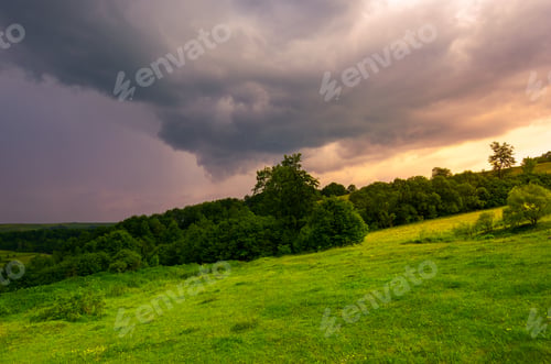 Preview: Beautiful Countryside On A Cloudy Sunset. Trees On Grassy Hillside In Evening Light