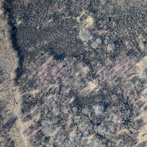 Aerial View Over The Meadow In Springtime