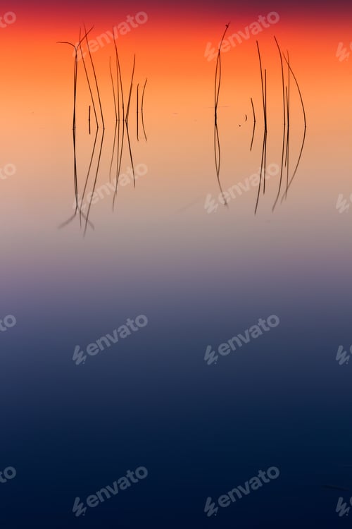 Preview: Colorful Lake. Water Background.