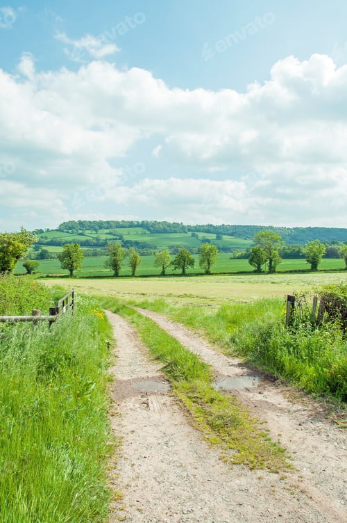 Preview: Farm Tracks In The Summertime Countryside.