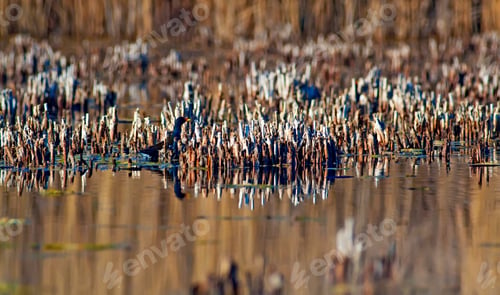 Preview: Thirsty Lake.