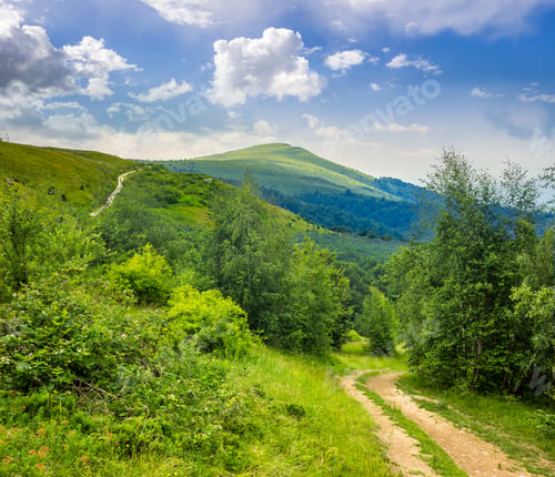 Preview: Composite Landscape. Path Through The Field With Green Grass In Mountains Near The Forest In
