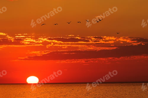 Preview: Golden Sunset Over The Black Sea
