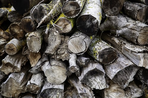 Preview: Detail Of Wood To Warm Up And Make Fire In Winter