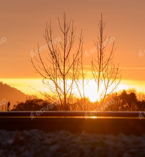 Preview: Dried Grass Flower By The Railroad Tracks At Sunrise