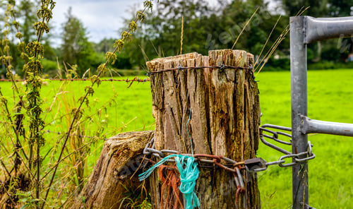 Preview: Closeup Of The Closure Of The Gate Of A Meadow. It Is A Strange Combination Of A Weathered Old