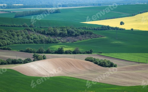 Preview: South Moravia Landscape And Farmland In The Spring With Rapeseed In The Fields.