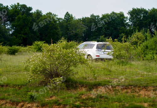 Preview: Suv Car Off The Road In A Forest