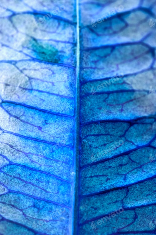 Preview: Codiaeum Leaves With Beautiful Vein And Details - Inverted Colors