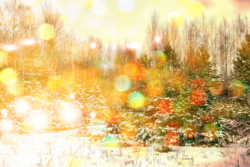 Preview: Forest In The Frost. Winter Landscape. Snow Covered Trees.