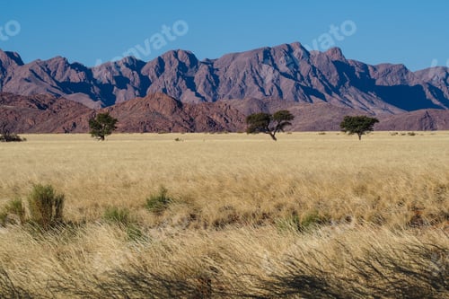 Preview: Wandering Elim Dune Of Sossuvlei Desert In Namibia
