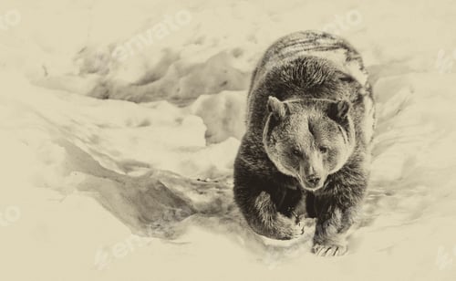 Preview: Vintage Style Image Of A Brown Bear (Ursus Arctos) In Lake Clark National Park, Alaska, Usa
