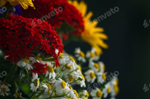 Preview: A Bouquet Of Bright Spring Flowers Of Various Types