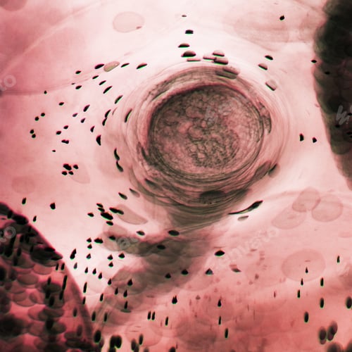 Preview: Abstract Underwater Games With Jelly Balls, Bubbles And Light