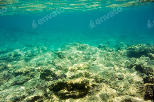 Preview: Underwater Texture And Fauna In Ionian Sea, Zakynthos, Greece
