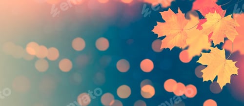 Preview: Autumn Landscape With Bright Colorful Foliage. Indian Summer.