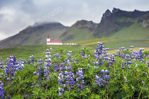 Preview: View In Town Vik In Iceland