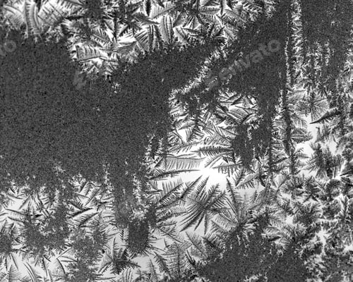 Preview: Ice Flowers On Glass - Texture