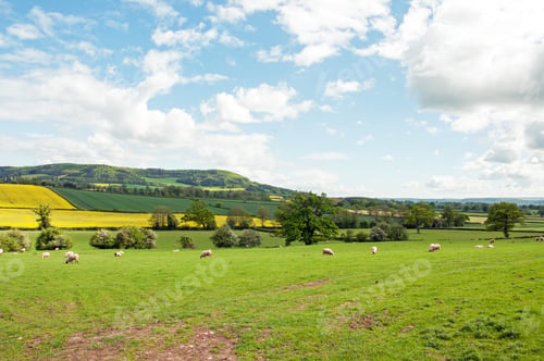 Preview: Summertime Landscape In The English Countryside.