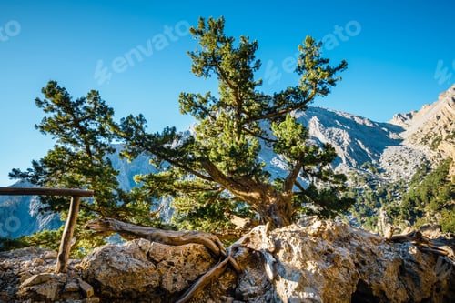 Preview: Samaria Gorge In Central Crete, Greece