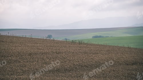 Preview: Cultivated Field In Bright Spring Day In Countryside - Retro Vintage Look