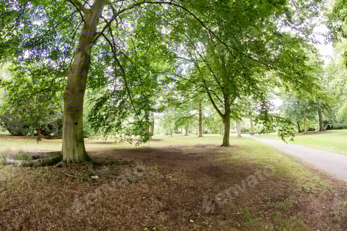 Preview: View From Kew Gardens, Royal Botanical Gardens In London. Fish Eye Lens Effects