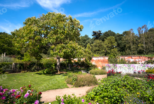 Preview: Large Tree In A Formal Garden