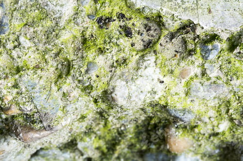 Vista previa: Very Old Stone Texture