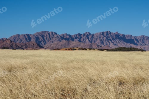 Preview: View Of The Red Sand Dunes In The Namib Desert, Sossusvlei In Namibia